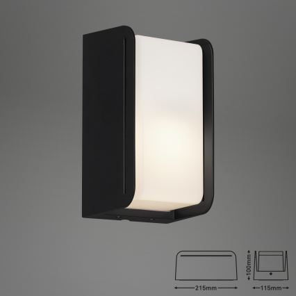 Briloner 3016-015 - Вуличний настінний світильник BOKS 1xE27/12W/230V IP44