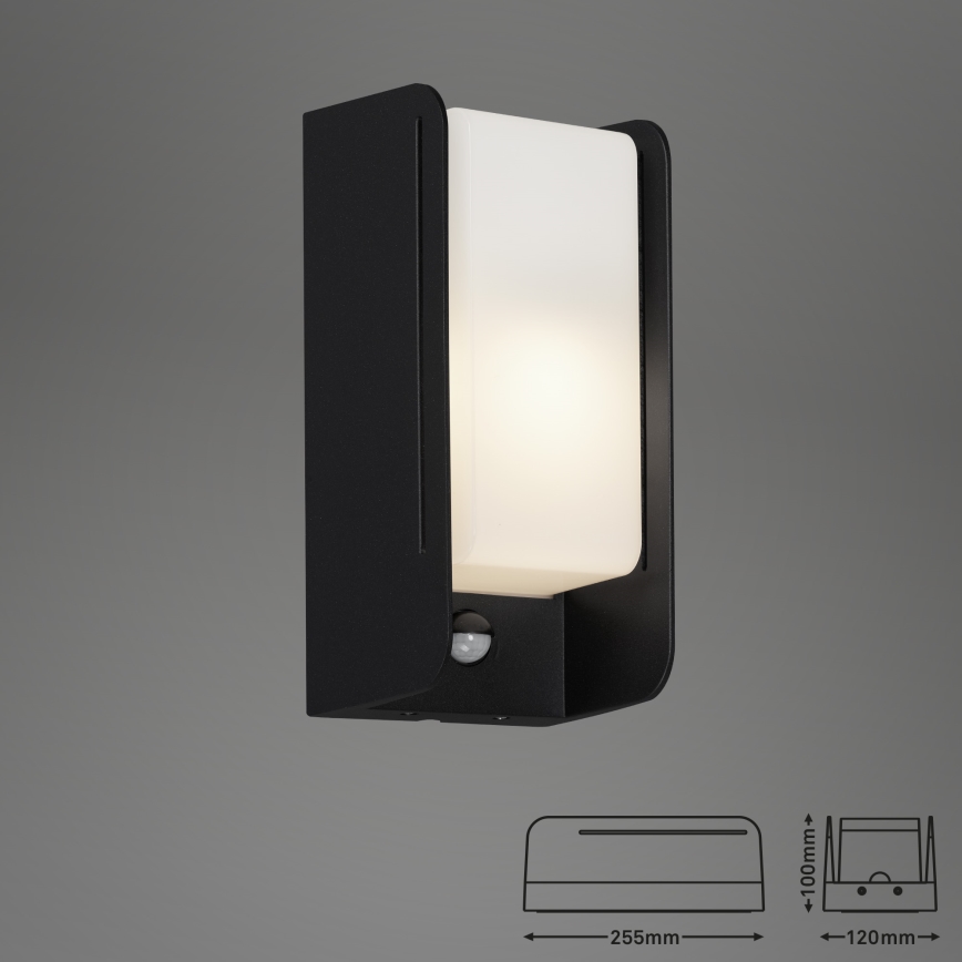Briloner 3017-015 - Уличный настенный светильник с датчиком BOKS 1xE27/12W/230V IP44