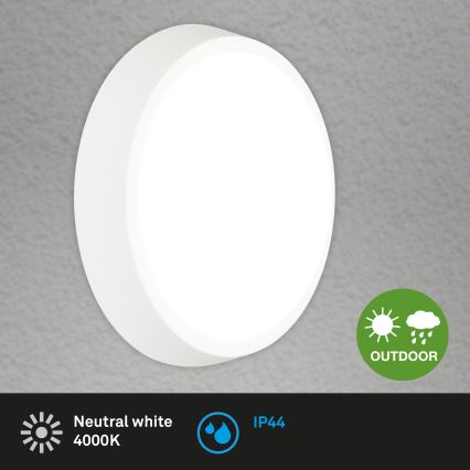 Briloner 3018-016 - Светодиодный уличный потолочный светильник HAGEN LED/24W/230V 4000K IP44 белый