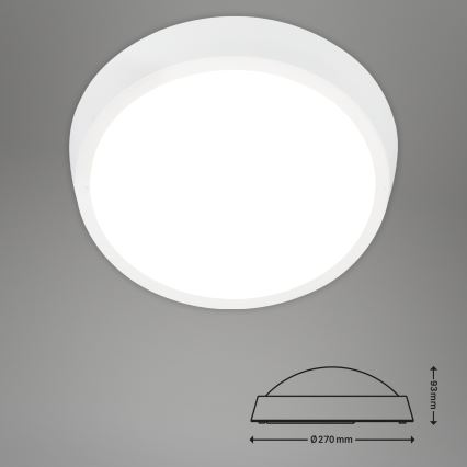 Briloner 3018-016 - Вуличний світлодіодний стельовий світильник HAGEN LED/24W/230V 4000K IP44 білий