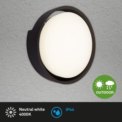 Briloner 3019-015 - Вуличний світлодіодний настінний світильник GENUA LED/18W/230V IP44 чорний