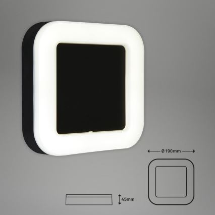 Briloner 3034-015 - Вуличний світлодіодний настінний світильник LED/15W/230V 4000K