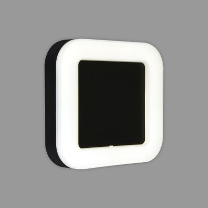 Briloner 3034-015 - Вуличний світлодіодний настінний світильник LED/15W/230V 4000K