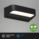 Briloner 3036-015 - Вуличний світлодіодний настінний світильник AHLEN LED/8W/230V IP44