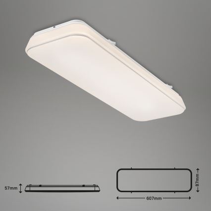 Briloner 3040-016 - Светодиодный потолочный светильник с регулированием яркости RUPA LED/24W/230V