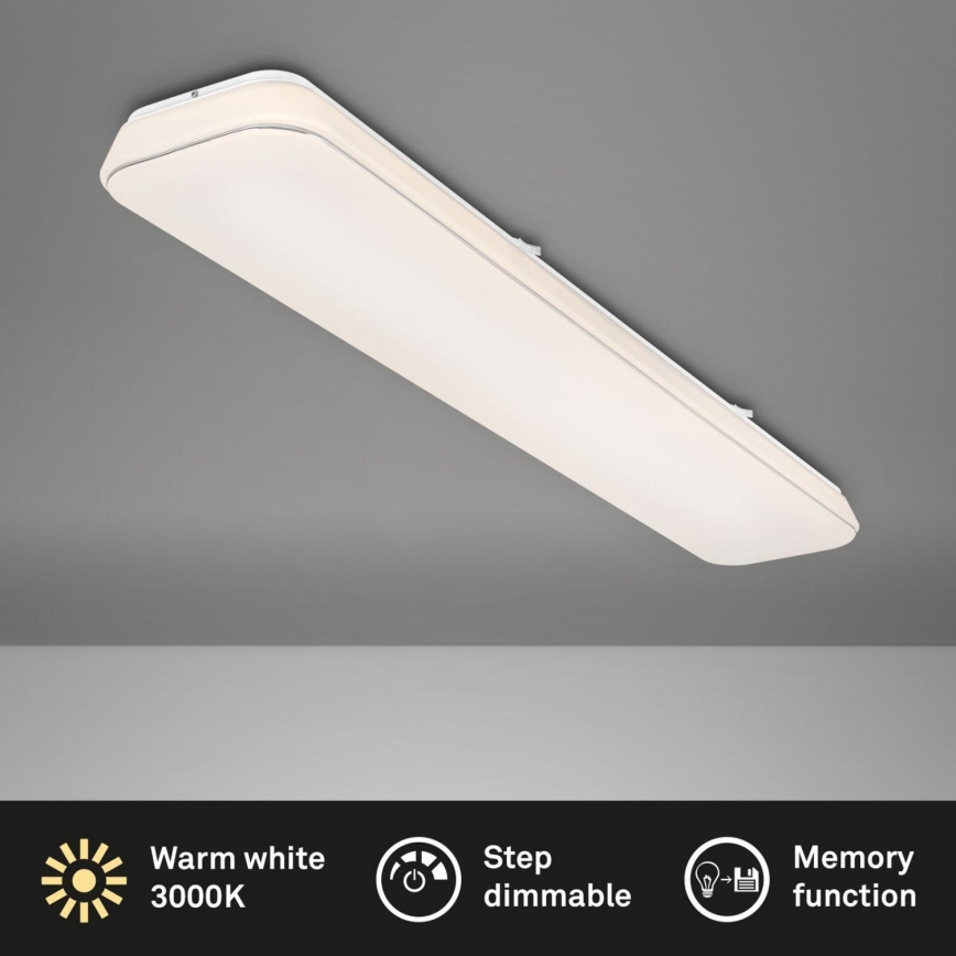 Briloner 3042-016 - Светодиодный потолочный светильник с регулированием яркости RUPA LED/48W/230V