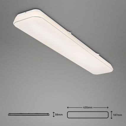 Briloner 3042-016 - Светодиодный потолочный светильник с регулированием яркости RUPA LED/48W/230V