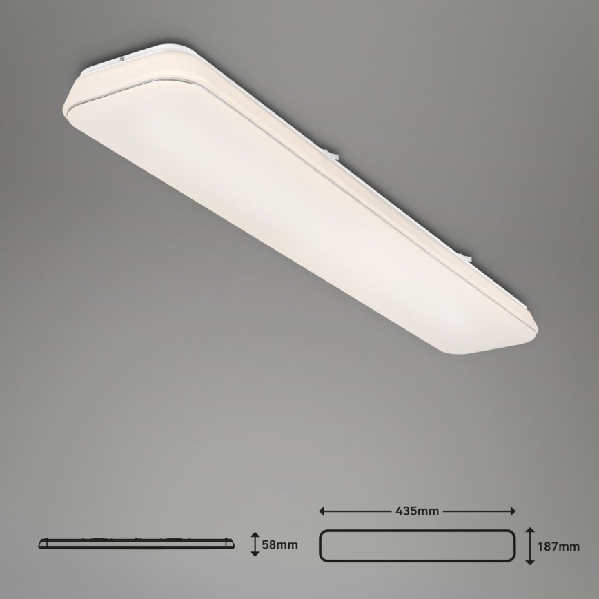 Briloner 3042-016 - Светодиодный потолочный светильник с регулированием яркости RUPA LED/48W/230V