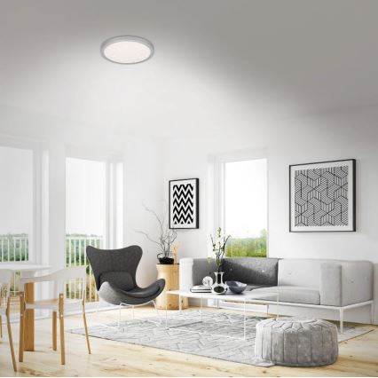 Briloner 3071-014 - Стельовий LED світильник RUNA LED/24W/230V срібний