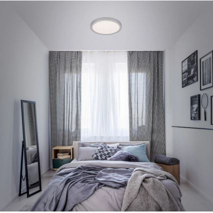 Briloner 3071-014 - Стельовий LED світильник RUNA LED/24W/230V срібний