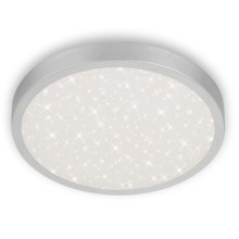 Briloner 3071-014 - Стельовий LED світильник RUNA LED/24W/230V срібний