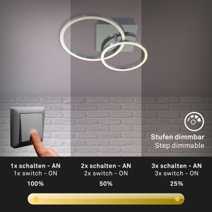 Briloner 3110-018 - Стельовий LED світильник з регулюванням яскравості FRAMES LED/16W/230V