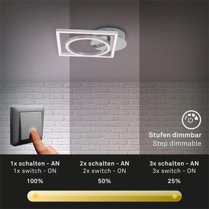 Briloner 3114-018 - Светодиодный потолочный светильник с регулированием яркости FRAME LED/19,6W/230V 3000K