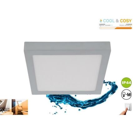 Briloner 3142-018 - Світлодіодний стельовий світильник для ванної кімнати COOL&COSY LED/21W/230V 2700/4000K IP44