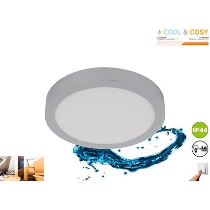 Briloner 3144-018 - Стельовий LED світильник для ванної з регулюванням яскравості COOL&COSY LED/21W/230V 2700/4000K IP44