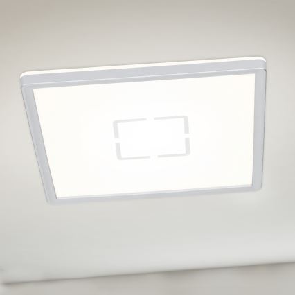 Briloner 3174-014 - Стельовий LED світильник FREE LED/12W/230V 19x19 см