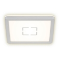 Briloner 3174-014 - Стельовий LED світильник FREE LED/12W/230V 19x19 см