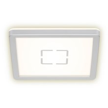 Briloner 3174-014 - Светодиодный потолочный светильник FREE LED/12W/230V 19x19 см