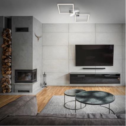 Briloner 3192-018 - Светодиодный потолочный светильник FRAMES 2xLED/16W/230V