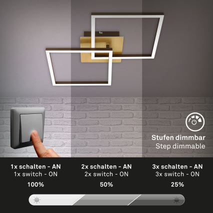 Briloner 3210-017 - Світильник стельовий LED з регулюванням яскравості FRAME 2xLED/11W/230V золотистий