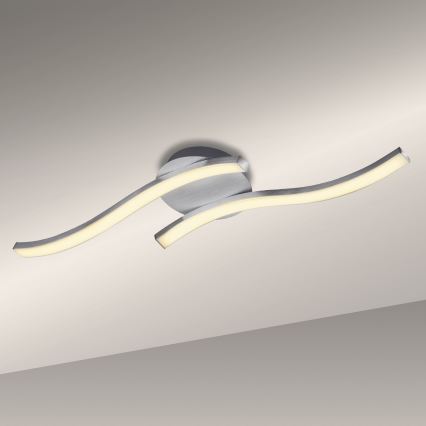 Briloner 3258-029 - Стельовий LED світильник GO 2xLED/6W/230V