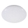 Briloner 3380-116 - Светодиодный потолочный светильник с регулированием яркости STARRY SKY LED/18W/230V 2700/4000K