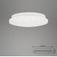 Briloner 3388-016 - Світлодіодний стельовий світильник VIPE LED/8W/230V