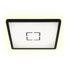 Briloner 3390-015 - Стельовий LED світильник FREE LED/18W/230V 29x29 см