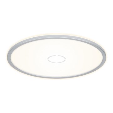 Briloner 3392-014 - Стельовий LED світильник FREE LED/22W/230V ø 42 см