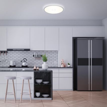 Briloner 3392-014 - Стельовий LED світильник FREE LED/22W/230V ø 42 см