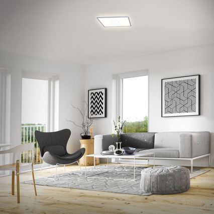 Briloner 3393-014 - Світлодіодний стельовий світильник FREE LED/22W/230V 42x42 cm