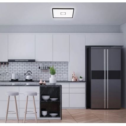 Briloner 3393-015 - Стельовий LED світильник FREE LED/22W/230V 42x42 см
