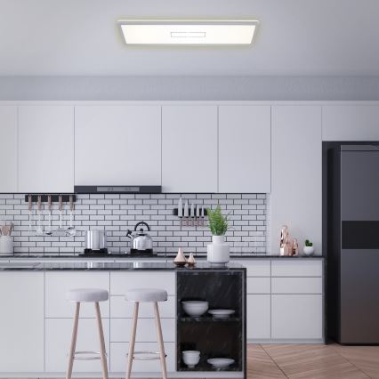 Briloner 3394-014 - Стельовий LED світильник FREE LED/22W/230V 58x20 см