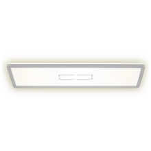 Briloner 3394-014 - Светодиодный потолочный светильник FREE LED/22W/230V 58x20 см