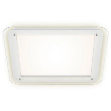 Briloner 3397-016 - Стельовий LED світильник FREE LED/22W/230V