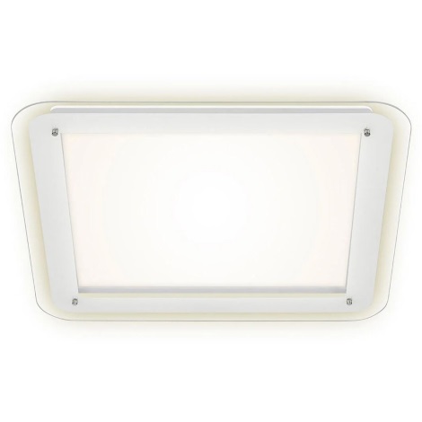 Briloner 3397-016 - Стельовий LED світильник FREE LED/22W/230V
