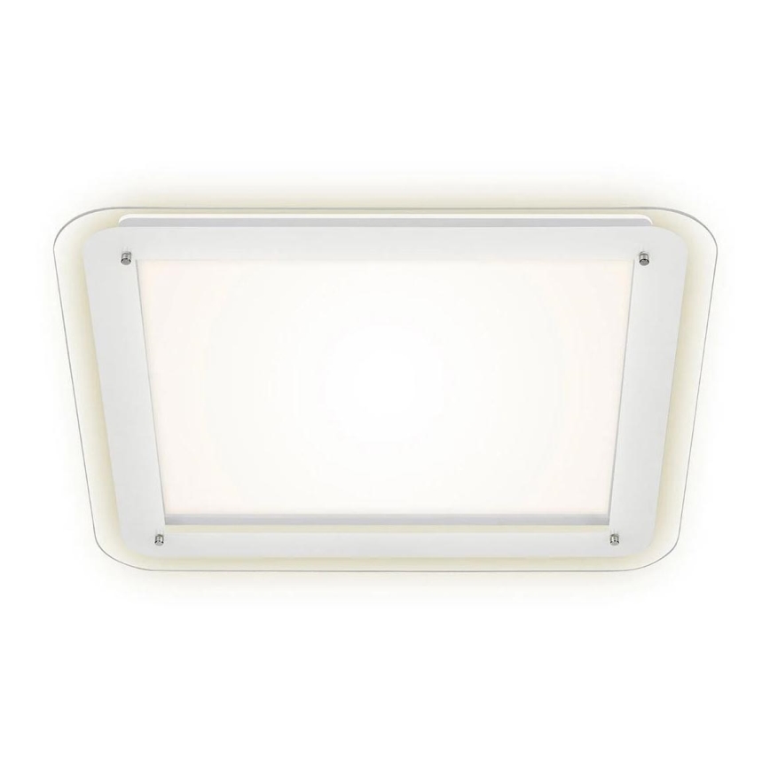 Briloner 3397-016 - Светодиодный потолочный светильник FREE LED/22W/230V