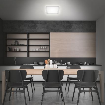 Briloner 3397-016 - Светодиодный потолочный светильник FREE LED/22W/230V