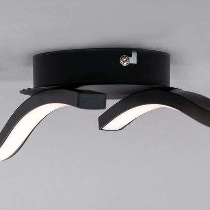 Briloner 3449-015 - Светодиодная поверхностно-монтируемая люстра GO 2xLED/6W/230V