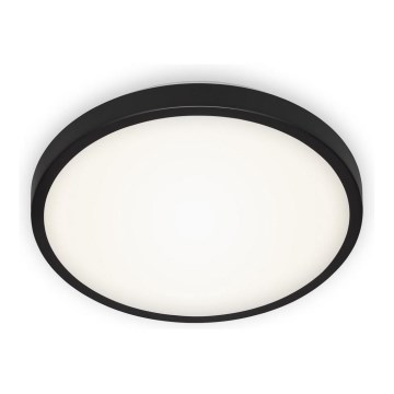 Briloner 3455-015 - Світлодіодний стельовий світильник MANNY LED/12W/230V