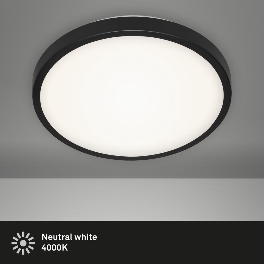 Briloner 3455-015 - Світлодіодний стельовий світильник MANNY LED/12W/230V