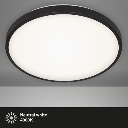 Briloner 3455-215 - Світлодіодний стельовий світильник MANNY LED/24W/230V