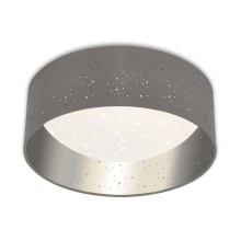Briloner 3482014 - Стельовий LED світильник MAILA STARRY LED/12W/230V сірий/срібний