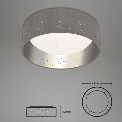 Briloner 3482014 - Светодиодный потолочный светильник MAILA STARRY LED/12W/230V серый/серебристый