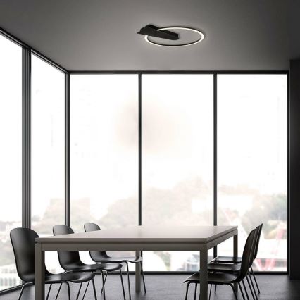 Briloner 3542-015 - Світильник стельовий світлодіодний димований NICO LED/12W/230V чорний