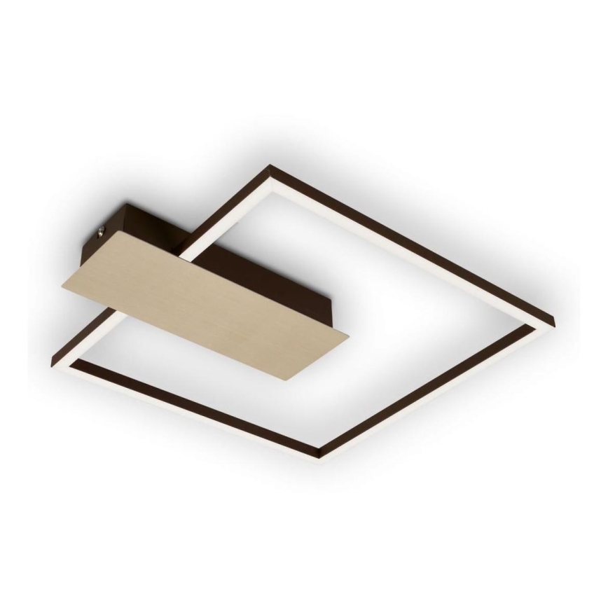 Briloner 3544-017 - Светодиодный потолочный светильник с регулированием яркости NICO LED/12W/230V золотистый