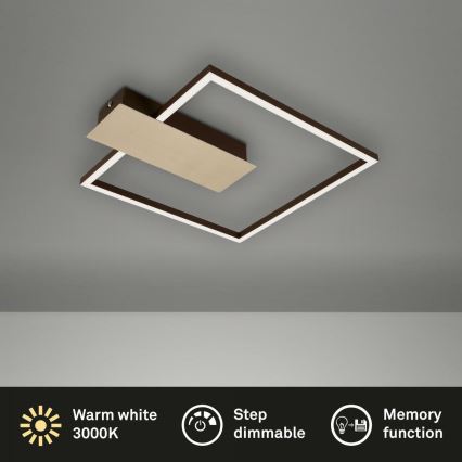 Briloner 3544-017 - Светодиодный потолочный светильник с регулированием яркости NICO LED/12W/230V золотистый