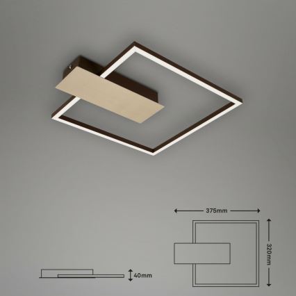 Briloner 3544-017 - Светодиодный потолочный светильник с регулированием яркости NICO LED/12W/230V золотистый