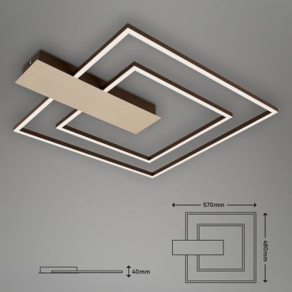 Briloner 3545-017 - Светодиодный потолочный светильник с регулированием яркости NICO LED/25W/230V золотистый