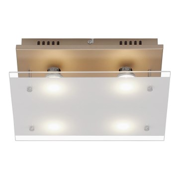 Briloner 3586-047 - Стельовий LED світильник SMART GOLD 4xGU10/4W/230V
